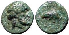 Ancient Coins - Caria, Mylasa AE11 Chalkous. Zeus Osogōs / Dolphin & trident