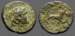 Ancient Coins - Thrace AE20 Hd of Herakles in lionskin / Lion adv rt.