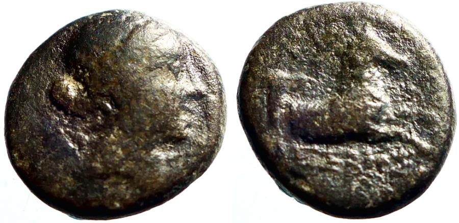 Ancient Coins - Aeolis, Kyme AE13 Amazon Kyme / forepart Horse