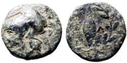 Ancient Coins - Aeolis, Elaia AE10 Athena / Grain ear in wreath