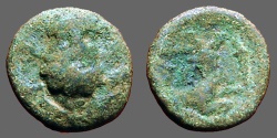 Ancient Coins - Selge, Pisidia AE13 Herakles facing / Stag   Obv:  Head of Herakles facing