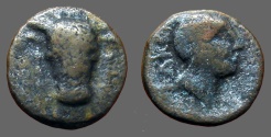 Ancient Coins - Phokis, Elateia AE17.  Hd of Apollo /  Bucranium head facing