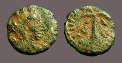 Ancient Coins - Tyre AE14 Hd. of Turreted Tyche/ Palm Tree 