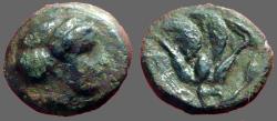 Ancient Coins - Islands off Caria, Rhodes. AE10 Chalkous. Rhodos / Rose