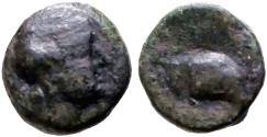 Ancient Coins - Seleukid Kings. Antiochos III the Great  AE10.5 Apollo / Elephant