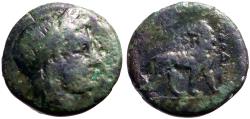 Ancient Coins - Ionia, Miletos AE15 Apollo / Lion & star