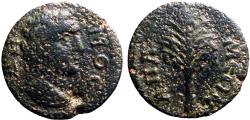 Ancient Coins - Phrygia. Apamea AE22  Demos / Palm Branch