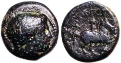 Ancient Coins - Philip II AE17 Hd of Apollo / young male horseback