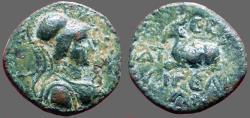 Ancient Coins - Cilicia, Aigeai AE15 Athena / Goat recumbent.  Roman Period