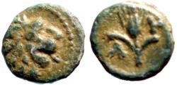 Ancient Coins - Thrace, Lysimacheia AE10 Lion / Grain
