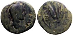 Ancient Coins - Severus Alexander AE22 Cappadocia, Caesarea.  Grain ears tied