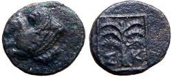Ancient Coins - Troas, Skepsis AE11 Pegasus / Fir Tree in square