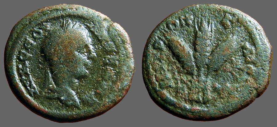 Ancient Coins - Severus Alexander AE18 Caesaraea-Eusebia.  Grain ears bound 