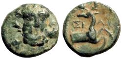 Ancient Coins - Selge, Pisidia AE13 Herakles facing / Stag