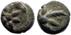 Ancient Coins - Pontos AE11  Head of horse right, w. star / Comet w. 8 point tail