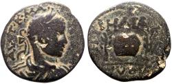 Ancient Coins - Elagabalus AE23 Seleucis & Pieria. Emesa. Prize urn & palm fronds