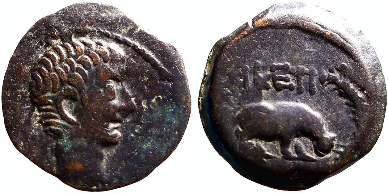 Tiberius AE19 Obol. Hippopotamus Alexandria, Egypt | Roman