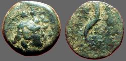 Ancient Coins - Seleukid. Cleopatra & Antiochos VIII AE15  Dioscuri / Cornucopia