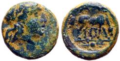 Ancient Coins - Troas, Alexandria AE11 Apollo / Horse grazing