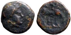Ancient Coins - Troas, Alexandria AE9.5 Apollo / Horse grazing