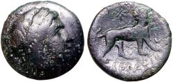 Ancient Coins - Ionia, Miletos AE18 Apollo / Lion & star