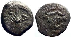 Ancient Coins - Porcius Festus AE prutah.  Palm Branch / Legend in wreath