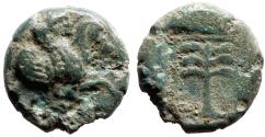 Ancient Coins - Skepsis, Troas. AE9 forepart Pegasos rt / Palm tree in linear square.