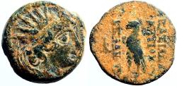 Ancient Coins - Seleukid. Antiochos VIII AE18, Rd Hd. of Antiochos right / Eagle standing left