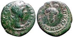 Ancient Coins - Caracalla AE17 Nikopolis ad Istrum.  Grape Cluster on tendril