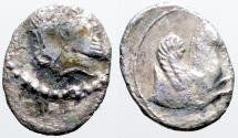 Ancient Coins - Cilicia, uncertain Persian satrap. AR11 Obol. Persian King / Pegasos