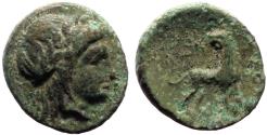 Ancient Coins - Ionia, Miletos AE12 Apollo / Lion & star