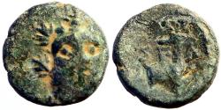 Ancient Coins - Selge, Pisidia AE13 Herakles facing / Stag