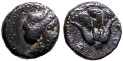 Ancient Coins - Islands off Caria, Rhodes AE11 Nymph Rhodos / Rose