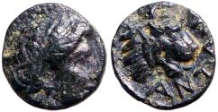 Ancient Coins - Troas, Antandros AE8 Apollo / Lion