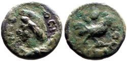 Ancient Coins - Pisidia, Antioch. Pseudo-autonomous AE13 Mên / Cock
