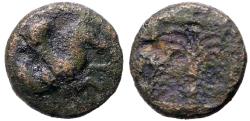 Ancient Coins - Troas, Skepsis AE8 Pegasus / Fir Tree in square