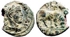 Ancient Coins - Gallienus AE19 Alexandria, Troas. Horse grazing