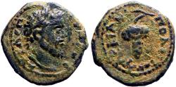 Ancient Coins - Septimius Severus AE18 Marcianopolis, M.I.  Grapes on tendril