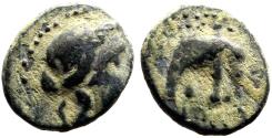 Ancient Coins - Seleukid.  Antiochos III ‘the Great’ AE12 Apollo / Elephant