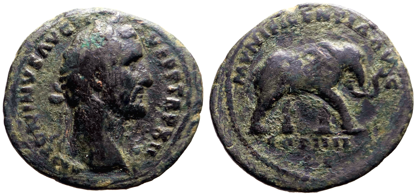 Antoninus Pius AE26 as. Elephant walking right | Roman Imperial Coins