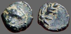 Ancient Coins - Pontos AE11  Head of horse right, w. star / Comet w. 8 points, tail