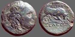 Ancient Coins - Seleukos I Nikator, AE15 Winged Medusa / Bull butting