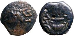 Ancient Coins - Jewish War AE16 Prutah Amphora / Vine leaf on tendril.  1st revolt, year 2