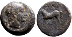 Ancient Coins - Seleukid Kings. Seleukos II Kallinikos AE17 Horse