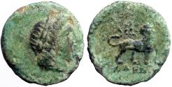 Ancient Coins - Ionia, Miletos AE11.5 Apollo / Lion & star