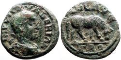 Ancient Coins - Valerian I AE20 Alexandria, Troas. Horse grazing