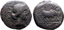 Ancient Coins - Augustus AE26 Spain, Emerita. Priest plowing right with yoke of oxen