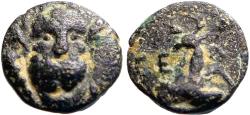 Ancient Coins - Selge, Pisidia AE12 Herakles facing / Stag