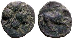 Ancient Coins - Gargara, Troas AE9 Apollo / Horse galloping