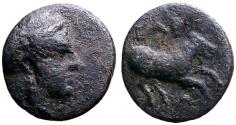 Ancient Coins - Gargara, Troas AE9 Apollo / Horse galloping